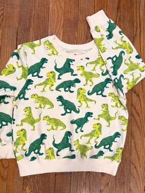 NWOT pink chicken 100% organic cotton dinosaur sweatshirt green dino 10Y boys